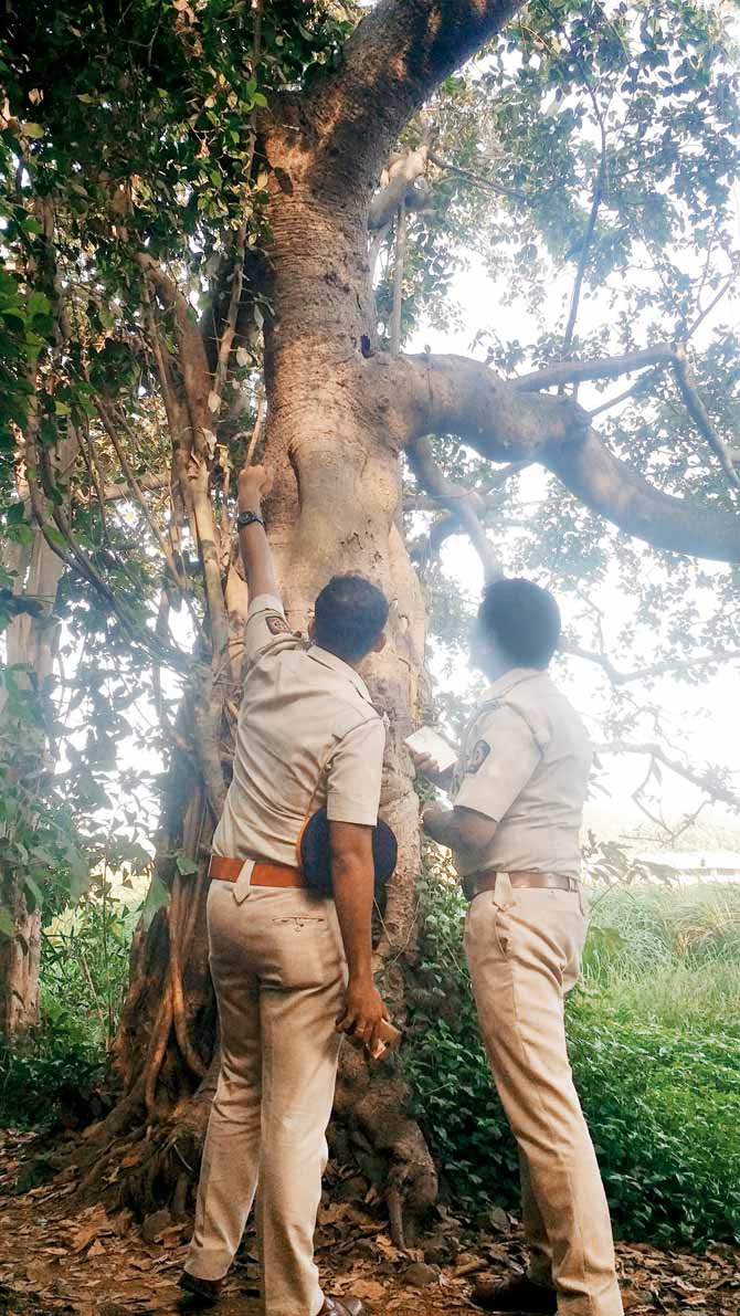 The couple had gone to the Chhota Kashmir garden at Aarey Colony to sort out their problems, but then man hanged himself from a tree