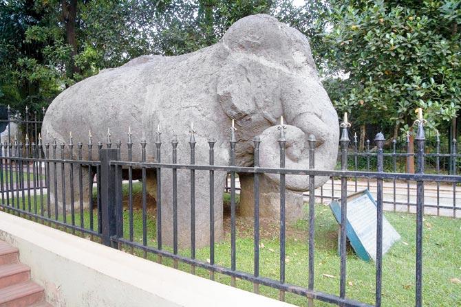 A 6th-century stone sculpture of an elephant from Elephanta Island. Pics courtesy/Dr bhau daji lad museum