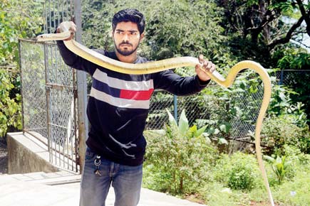 Mumbai: 10-ft snake causes panic in Babulnath school