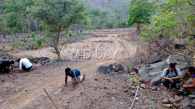 Researchers laying camera traps at Tungareshwar Wildlife Sanctuary
