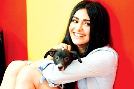 Animal lover Adah Sharma launches a drive to adopt strays