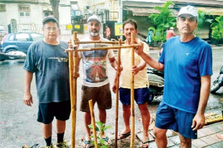 Six residents from Dadar begin the 'Green Dadar' initiative