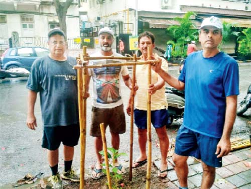 Chandra Shetty, Girish Shetty, G D Sharma and Tarun S Bhansali put up a guard near a newly planted sapling
