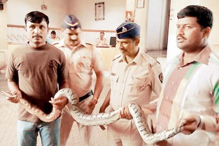 Navi Mumbai: Taloja Jail has found itself a snake charmer!
