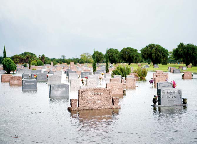A flooded graveyard in Pearland, Texas. Pic/AFP
