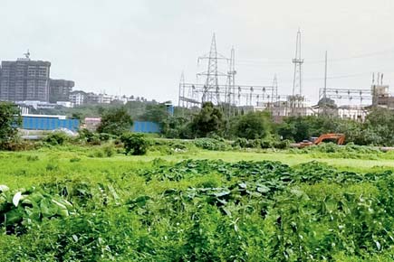 Save Aarey: MMRC, sure you have all permits, ask activists