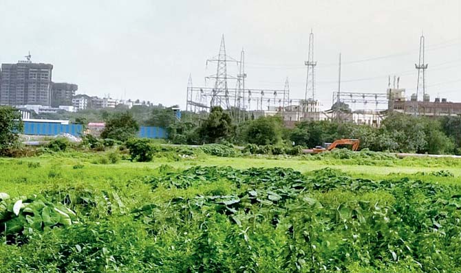 The proposed site for the Metro III depot in Aarey. File pic