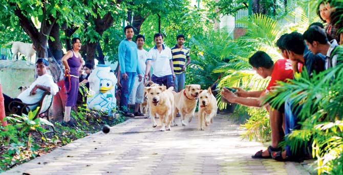 Parks in Andheri and Powai reserve certain time slots during the weekend for pets