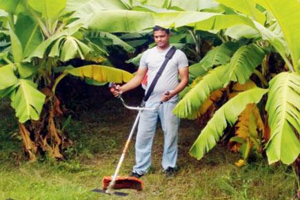 Pune techie with six-figure salary grows his own veggies