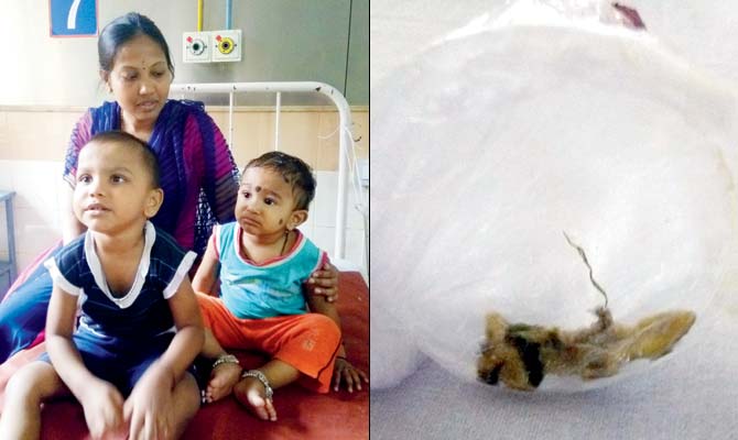 (From left) One of the family members found the lizard on their plate. Samayak Bansode, 4, and Vivan Salvi, 1, also fell ill after eating the palak paneer