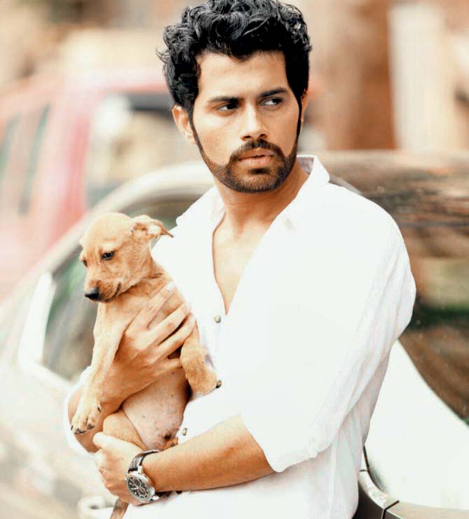 Omkar Rane and his friends fed hundreds of dogs