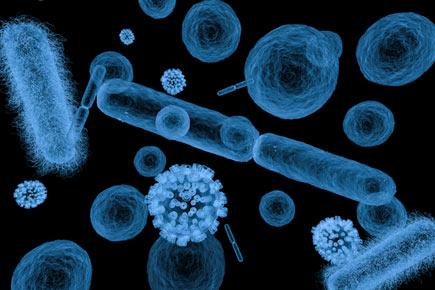Three die, over 300 suffering from acute gastroenteritis in Nagaland
