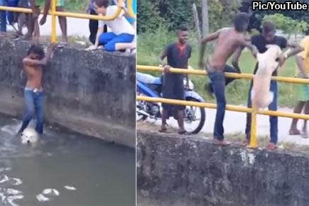 Watch Video: This man used his legs to save a dog from drowning