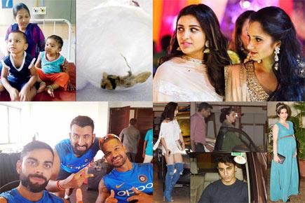 Lizard found in palak paneer, Sania, Parineeti 'blessed in the chest': roundup