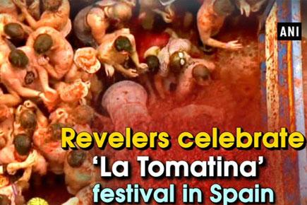 Revelers celebrate 'La Tomatina' festival in Spain