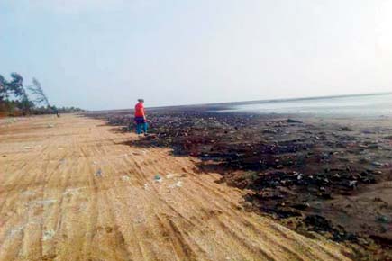Volunteers of a clean-up team in Vasai find oil patches across local beaches