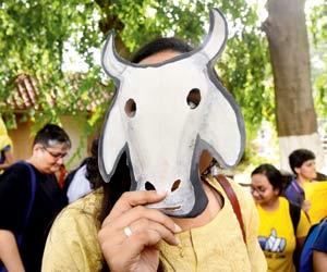 Mumbai: TISS denies nod to programme featuring cow vigilantism at last minute