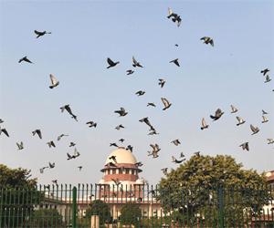 Delhi High Court grants bail to Prakash Jarwal in Chief Secretary assault case