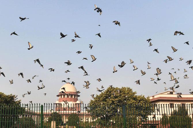  Delhi High Court