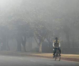 Delhi's max temp for first 14 days of December lowest in six years