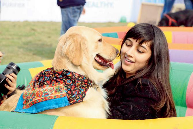 A scene from a skit, where a security dog helps nab a chain snatcher 