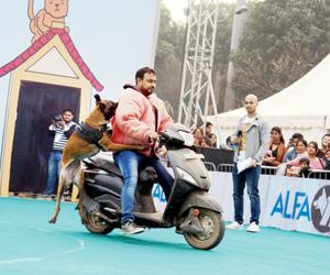 BKC to host a two-day festival for pets and animal lovers