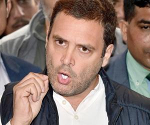 Rahul Gandhi leads Congress protest in Parliament over Anant Hegde's remark