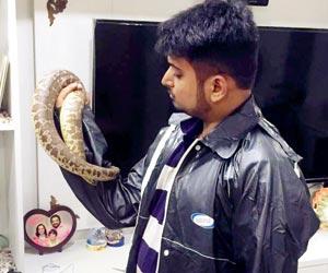 Mumbai: Locals trying to kill snake beat up man trying to rescue it