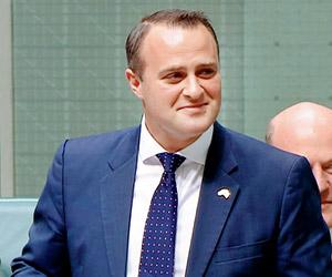 Australian MP Tim Wilson proposes to partner Ryan Bolger in parliament