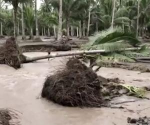 Vietnam evacuates 650,000 ahead of typhoon