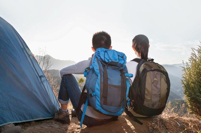 Camp at a chickoo farm