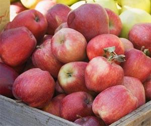 Eating apples, tomatoes may heal lungs of ex-smokers