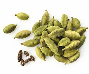 Cardamom prices up on retailers buying on December 22