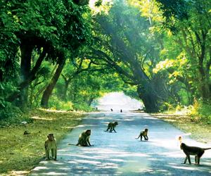 Sanjay Gandhi National Park: Become a natural trailblazer