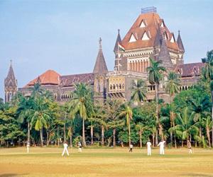 Bombay High Court restrains Thane Tree Authority from ordering tree cutting