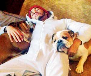 Lewis Hamilton enjoys festive season with pet dogs