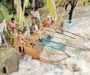 Cyclone Ockhi: Over 531 fishermen rescued off Kerala and Lakshadweep coasts