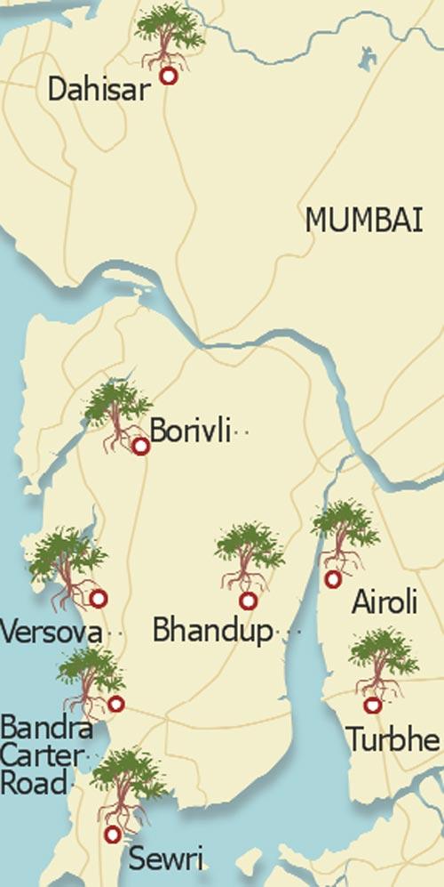 Illustration/Uday Mohite