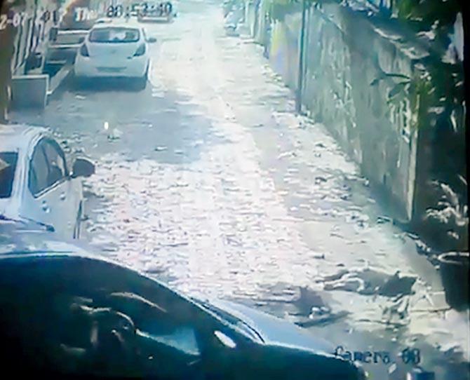 Video grabs show the dogs sleeping in the Mulund area