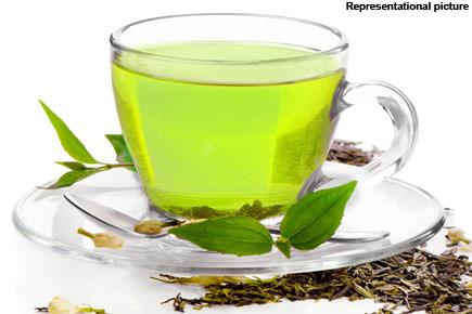 Health: Green tea may help fight bone marrow disorders