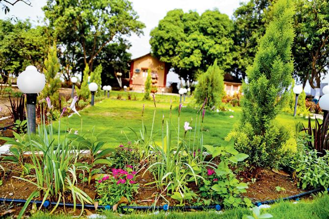 The Family land in Bhiwandi that has been converted into an organic farm