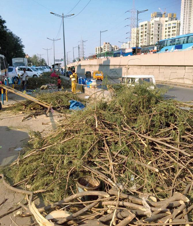 The trees were axed two days ago in Malad (east) where the work of Dahisar-Andheri East metro line is in progress