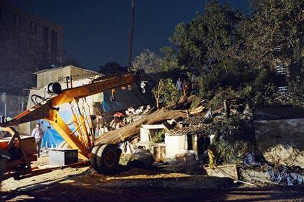 20 escape unhurt as tree crashes square on their home in Mumbai