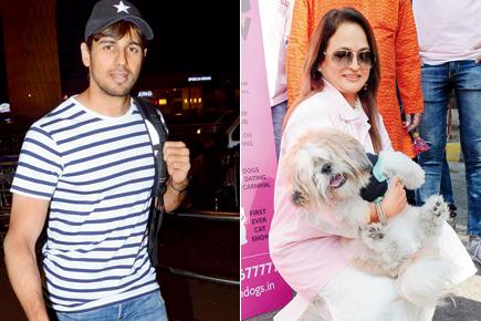 Sidharth Malhotra to walk the ramp with 250 dogs!