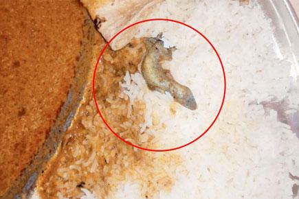 Lizard in curry: Contractor at Chembur hostel continues to dish out meals
