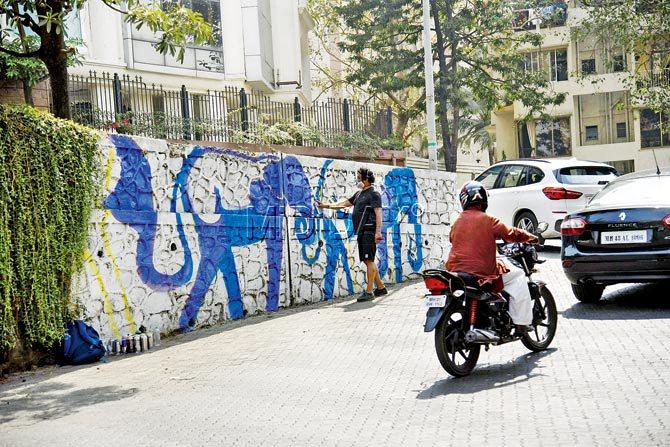Graffiti artist Falko One painting a wall near Mount Mary Church in Bandra. PIC/Pradeep Dhivar