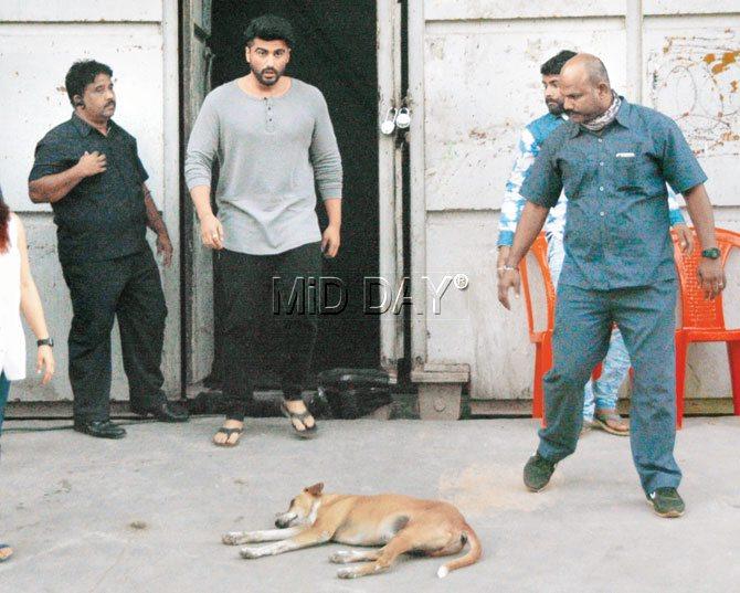 Actor Arjun Kapoor was greeted by this sleepy fellow as he stepped out of a studio in Goregaon after wrapping up an ad shoot. Pic/Satej Shinde