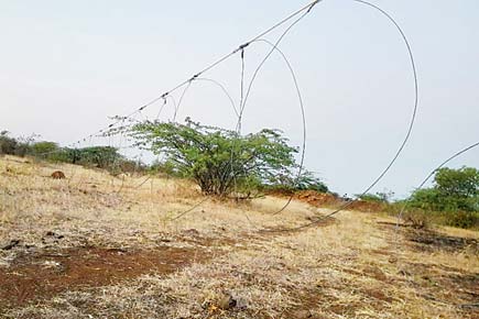 50 snares found 1 km from Nanaj sanctuary