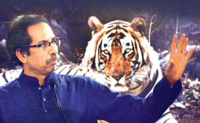 Shiv Sena president Uddhav Thackeray at a recent event to launch a wildlife book in the city. Pic/bipin Kokate