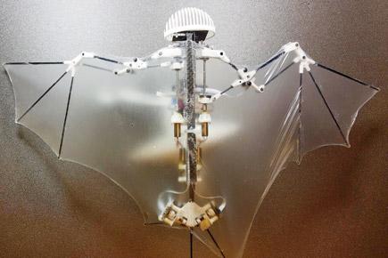 Meet Bat Bot, the flying hero the world deserves